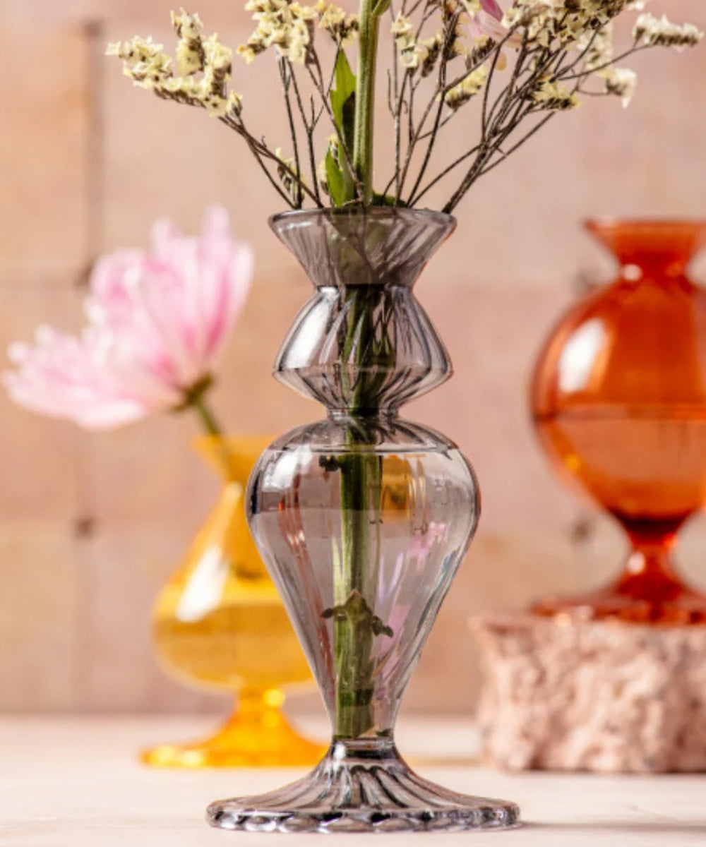 Nalia Budvase Nocturn