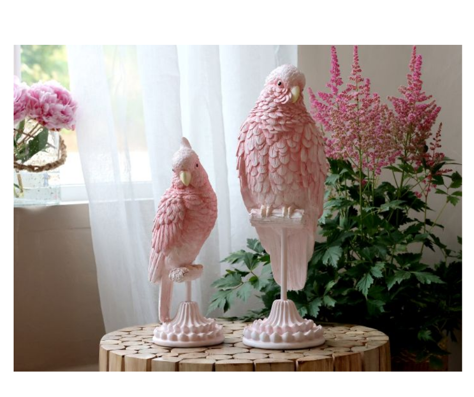 Animals & Birds