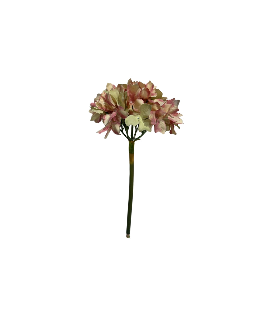 Small Pink Hydrangea Flower