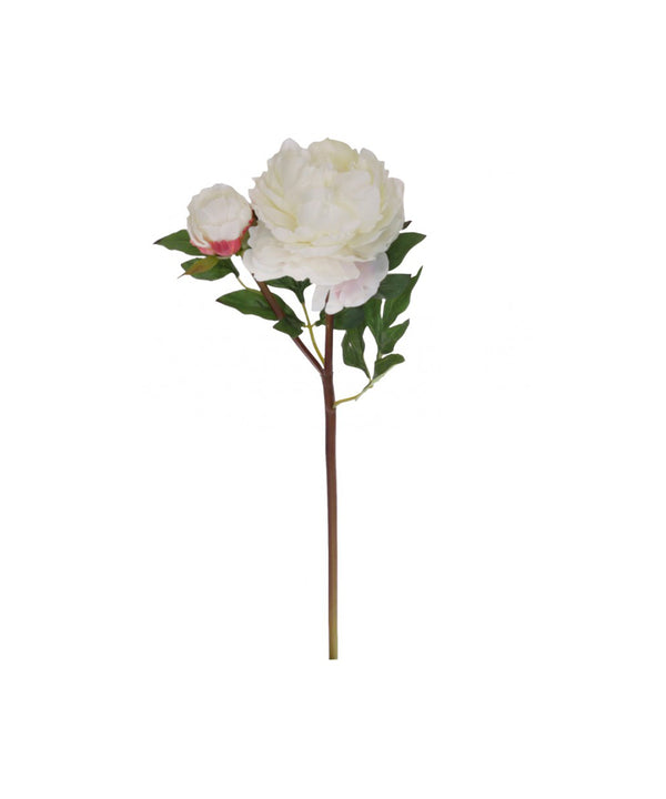 Fleur Peony
