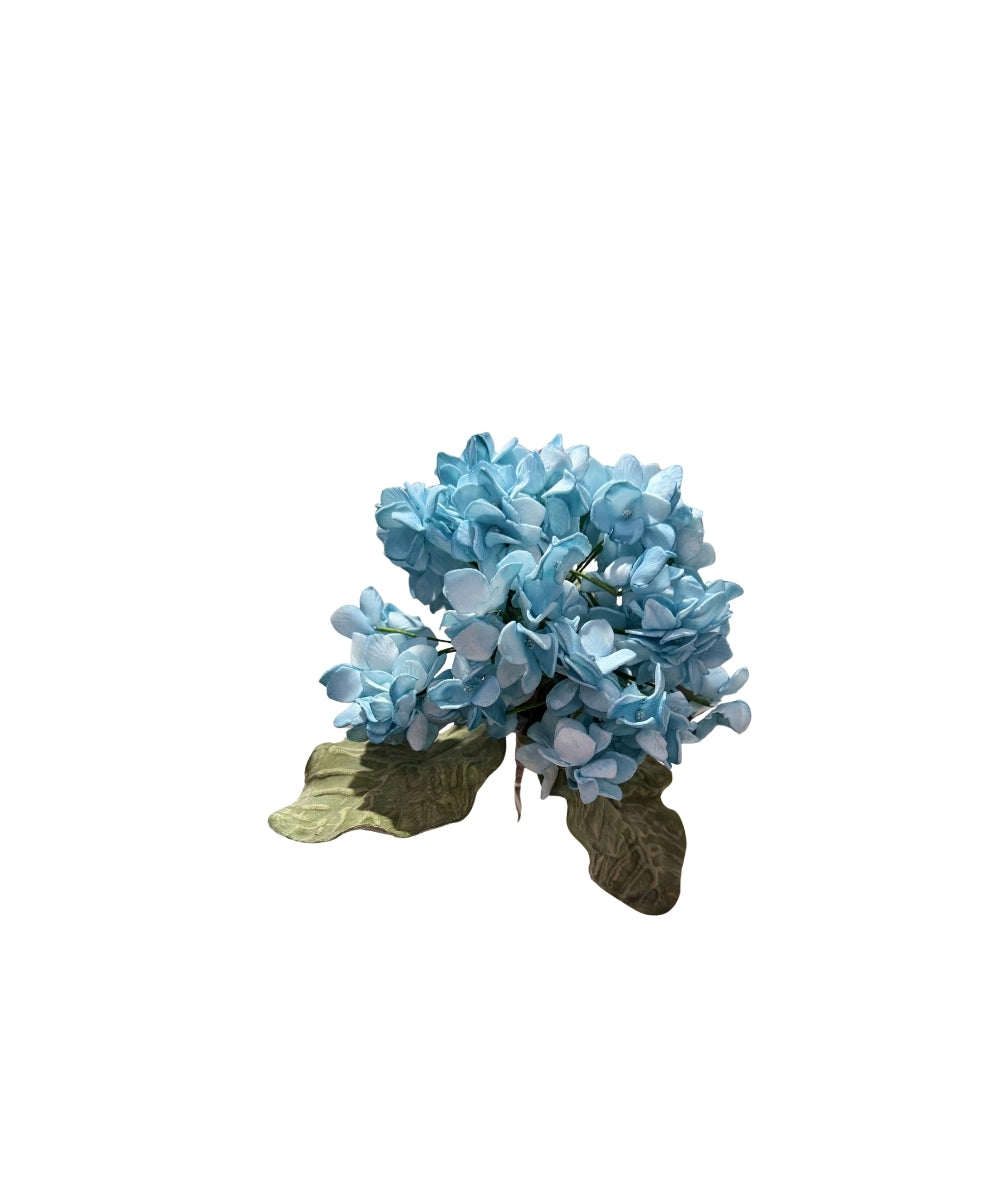 Blue Hydrangea Flower - delicate cluster light blue hydrangea