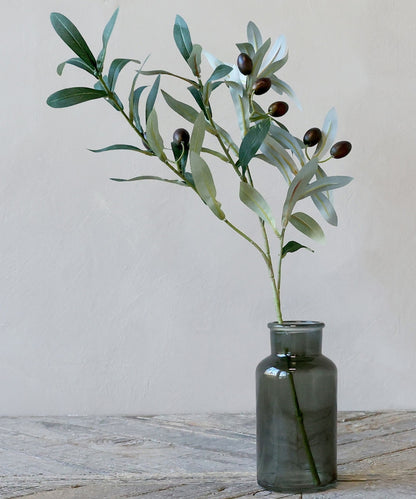Fleur Olive Branch H74 cm nature
