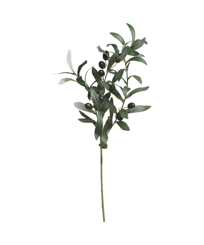 Fleur Olive Branch H74 cm nature