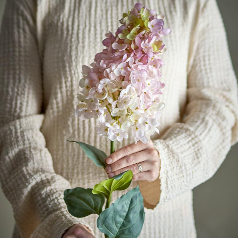 Hydrangea Stem