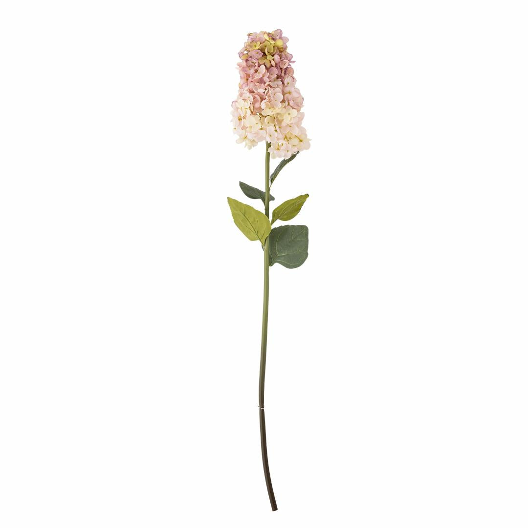 Hydrangea Stem