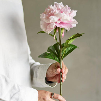 Peony Stem