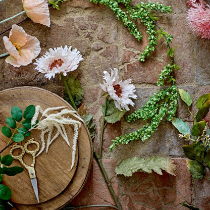 Chrysantemum Stem
