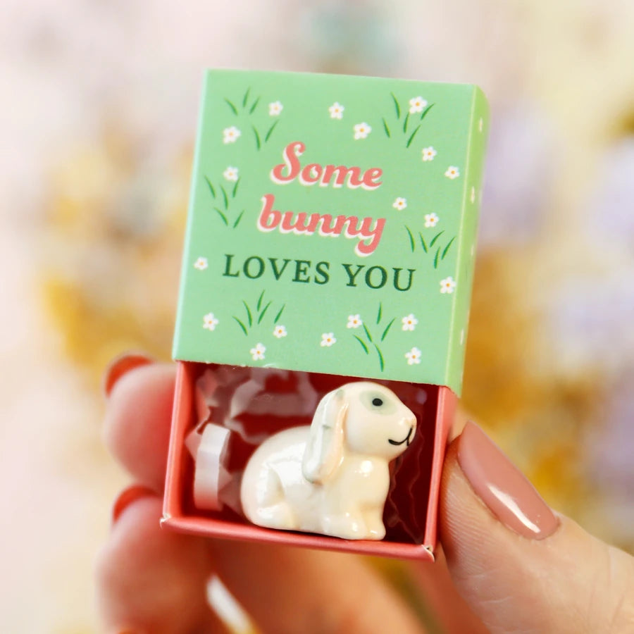 Small ceramic bunny figurine in a matchbox with 'Some bunny LOVES YOU' text.