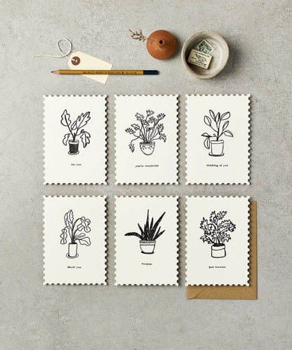 Assorted Pack Notecards - Plants - set six white cards black
