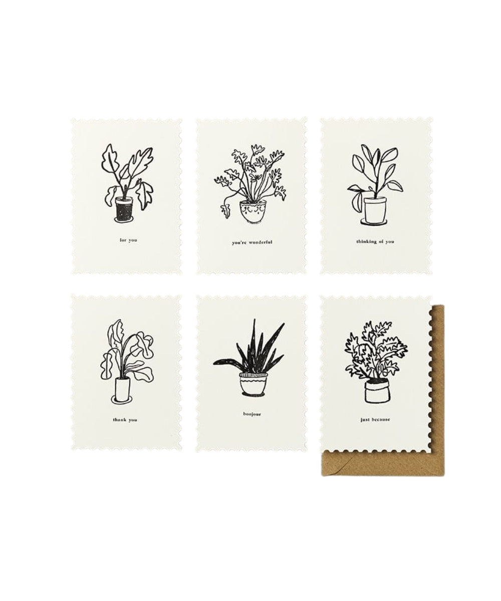 Assorted Pack Notecards - Plants - set six cream-colored cards black
