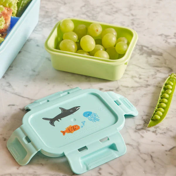 Rice Lunch box with Wildlife Print L- 13.5 cm W- 10 cm H- 5 cm Mint